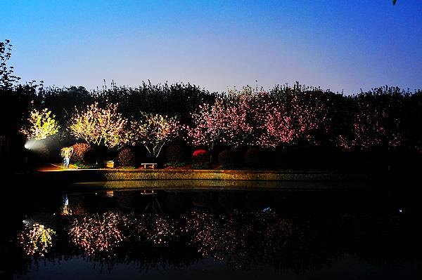 【影像視界】第四期:游園驚夢