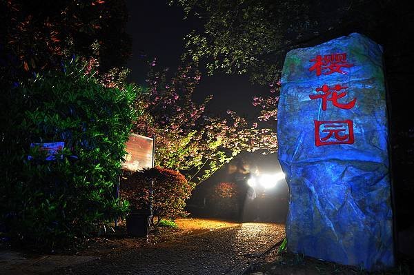 【影像視界】第四期:游園驚夢