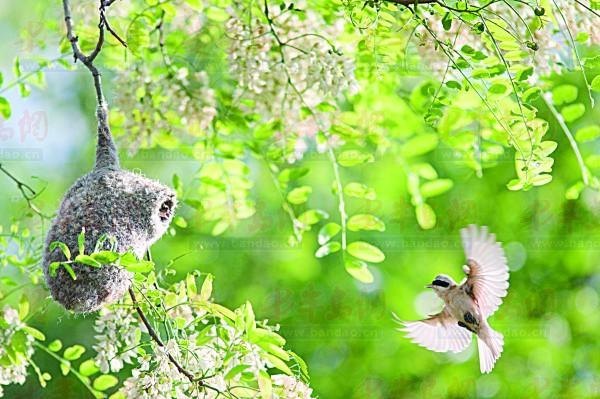 {ɫ󣺟WƬekzӰչ۳˲g