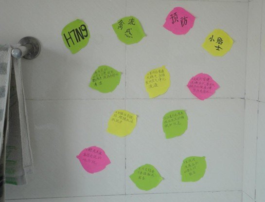 預防H7N9,你我的責任——10自動化專業開展預防H7N9禽流感宣傳教育活動