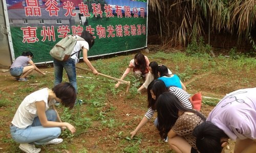 【一面旗幟】生命科學系學生黨支部管理“校園小農場”積極開展專業實踐活動