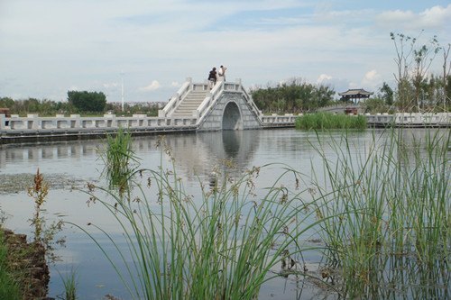 校黨委組織教工黨員到北湖濕地公園開展主題黨日活動