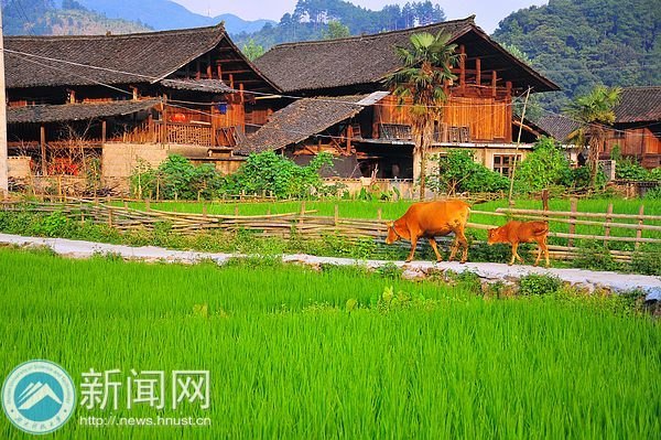 ֮ ٶȆ̡ϿƼW(xu)W(xu)h־Ը(w)MLѻιŴ