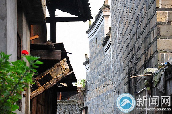 ֮ ٶȆ̡ϿƼW(xu)W(xu)h־Ը(w)MLѻιŴ