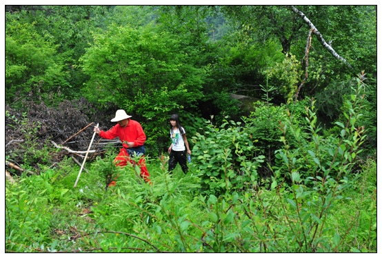 W(xu)Ժ120W(xu)ȪҰ⌍(sh)(x)ռ(bio)