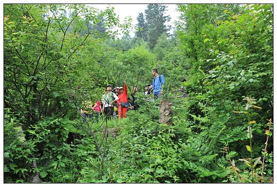 W(xu)Ժ120W(xu)ȪҰ⌍(sh)(x)ռ(bio)