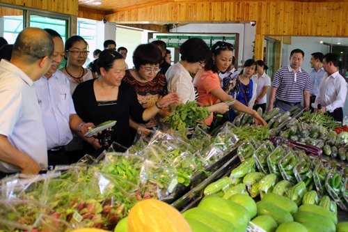 平潭新農村建設展新顏 惠州學院干部參觀學習感受深