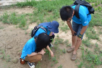 綠色長征18:黃河之旅分團開展?jié)竦靥厣鷳B(tài)調(diào)研