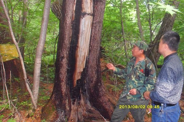 吉林農(nóng)業(yè)科技學(xué)院學(xué)子“守護(hù)綠色夢(mèng) 靈動(dòng)長(zhǎng)白山”吉林農(nóng)業(yè)科技學(xué)院學(xué)子“守護(hù)綠色夢(mèng) 靈動(dòng)長(zhǎng)白山”