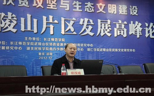 黨委書記胡茂成出席武陵山片區發展高峰論壇