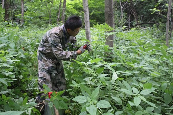 ͽɽԽX ٬FrͽɽԽX ٬Fr