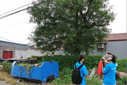 綠色長征31:京杭運河(古韻探尋)實踐團