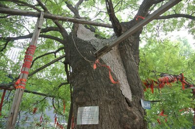 綠色長征32:京杭運河(古韻探尋)實踐團之二