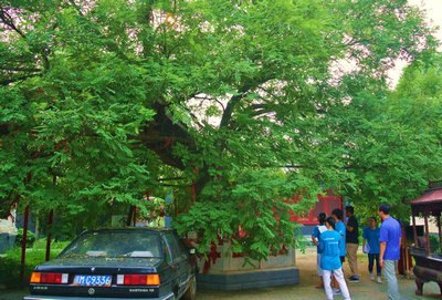 綠色長征32:京杭運河(古韻探尋)實踐團之二