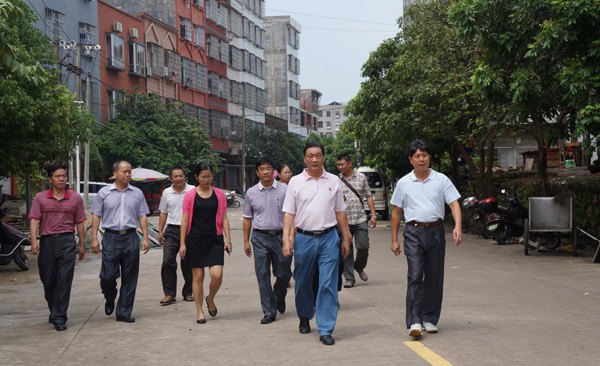 劉力書記到防城港開展“美麗廣西 清潔鄉村” 調研