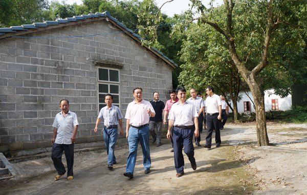 劉力書記到防城港開展“美麗廣西 清潔鄉村” 調研