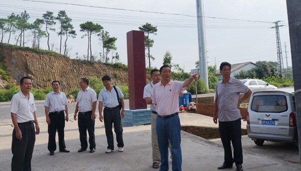 劉力書記到防城港開展“美麗廣西 清潔鄉村” 調研