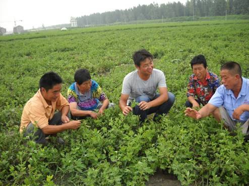 ���D�ģ����չ��I(y��)��W���̌WԺ���I(y��)�����Č����x����ʡ��־���L�ɲŃ�(y��u)��W������