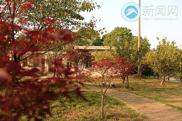 【圖說科大】櫻園之秋