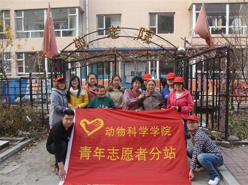 善待老人 溫暖夕陽善待老人 溫暖夕陽