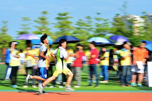 鏡頭下的校運會