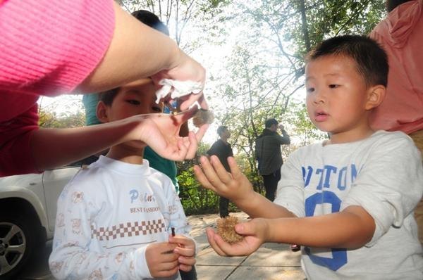 附二幼小朋友的“自然”生活【圖】