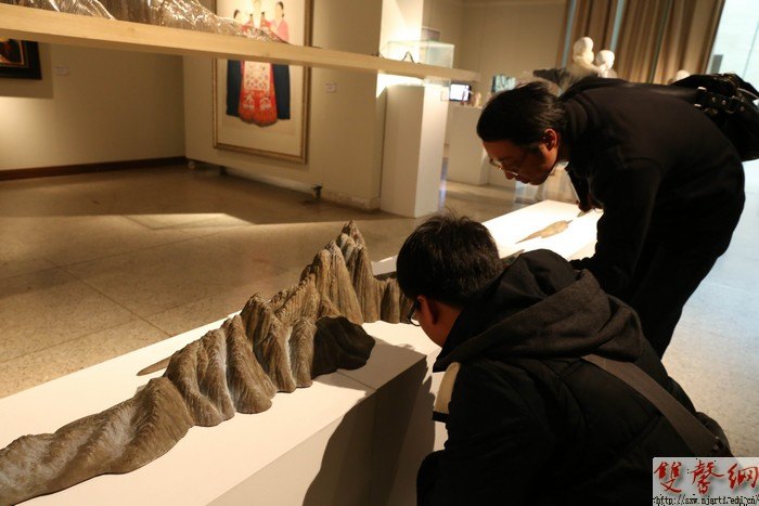 OӋWԺ̹hT݅^2013wSˇgչ