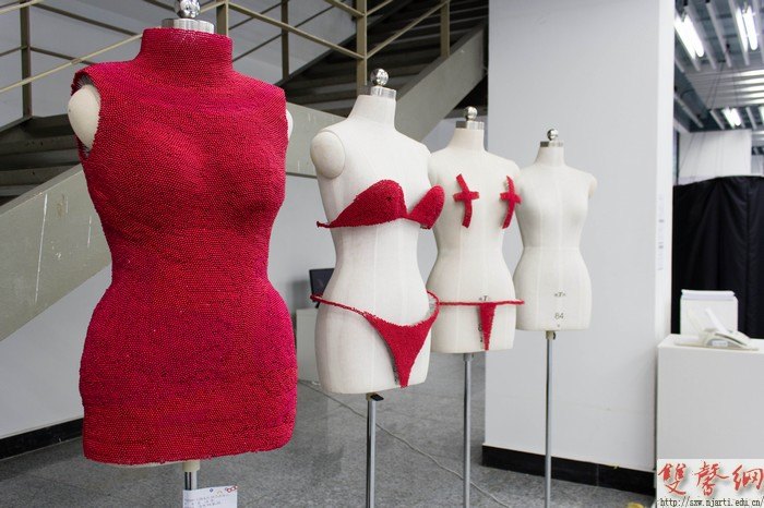 設計學院舉辦“Enthüllung東西”海斯特教授第八次工作坊作品展