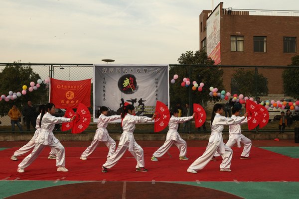 武術(shù)協(xié)會舉辦第四屆武術(shù)觀摩大會