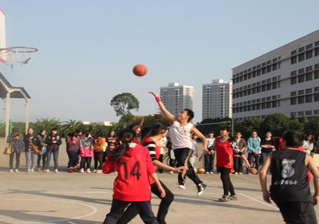 校教工業余籃球協會開展系列活動