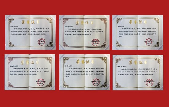 南京理工大學(xué)泰州科技學(xué)院代表隊(duì)參加第八屆全國信息技術(shù)應(yīng)用大賽決賽載譽(yù)而歸