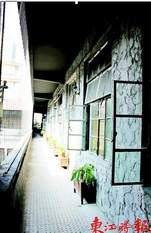 【東江時報】惠州學院畢業生開創藝術“夢工場”