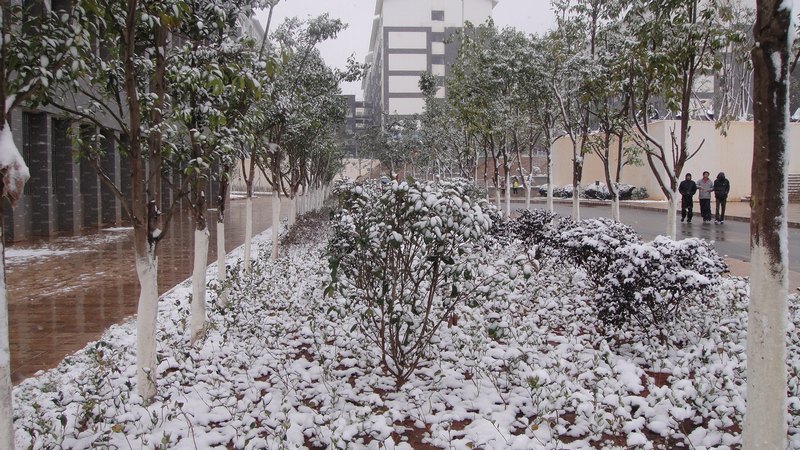 夢幻雪景 魅力商院