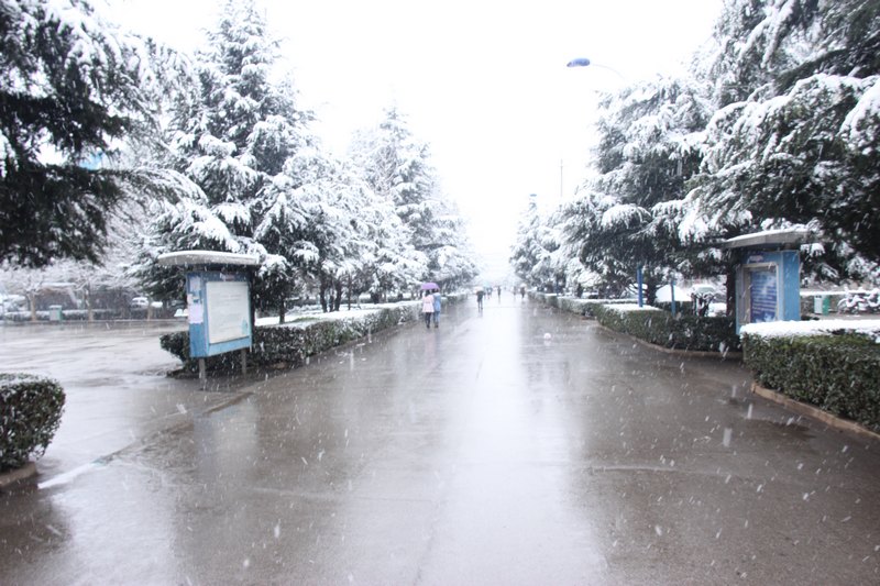 夢幻雪景 魅力商院