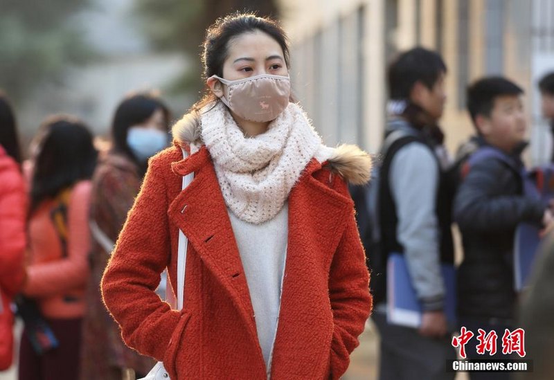 多家媒體高度關注南京藝術學院本科招生報名