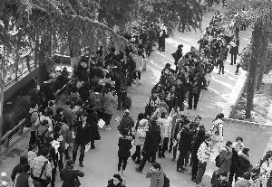 多家媒體高度關注南京藝術學院本科招生報名