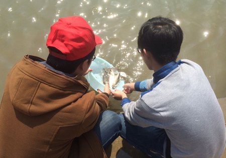 小魚治水——志愿者在行動