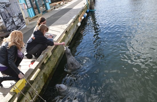 【加拿大中國青年領袖訓練營報道三十五】鐫刻維多利亞花園之美