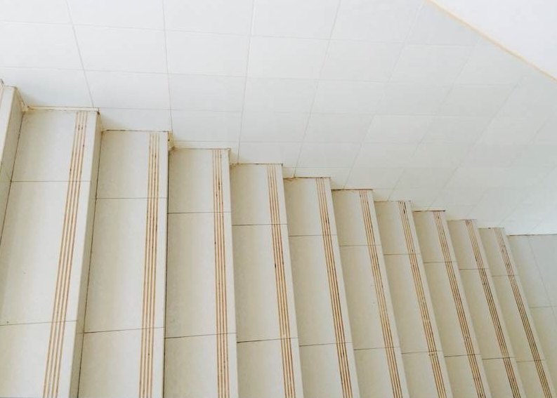 后勤管理處開展安全衛(wèi)生大檢查