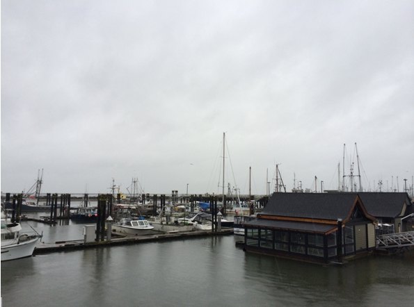 【加拿大中國青年領袖訓練營報道二十七】當商學院“遇上”西雅圖