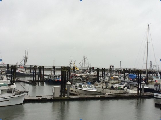 【加拿大中國青年領袖訓練營報道二十七】當商學院“遇上”西雅圖