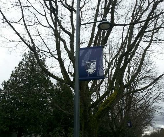 【加拿大中國青年領袖訓練營報道二十三】海外課堂第五天——眷戀UBC