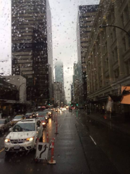 【加拿大中國青年領袖訓練營報道七】悠然漫步,溫哥華早春的雨