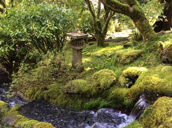 【加拿大中國(guó)青年領(lǐng)袖訓(xùn)練營(yíng)報(bào)道四十】世紀(jì)花園BUTCHART GARDENS