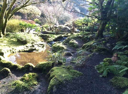 【加拿大中國(guó)青年領(lǐng)袖訓(xùn)練營(yíng)報(bào)道四十】世紀(jì)花園BUTCHART GARDENS