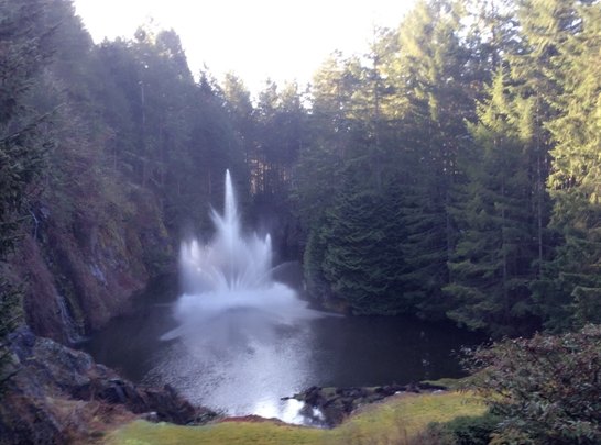 【加拿大中國(guó)青年領(lǐng)袖訓(xùn)練營(yíng)報(bào)道四十】世紀(jì)花園BUTCHART GARDENS