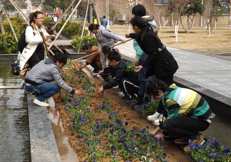 愛(ài)綠護(hù)綠創(chuàng)造美麗校園