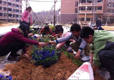 愛(ài)綠護(hù)綠創(chuàng)造美麗校園