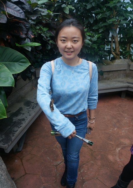 【加拿大中國青年領袖訓練營報道五十二】七彩蝴蝶,維多利亞的精靈