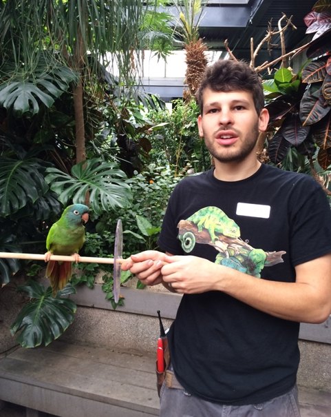 【加拿大中國青年領袖訓練營報道五十二】七彩蝴蝶,維多利亞的精靈